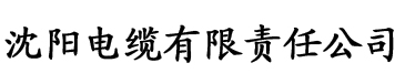 91香蕉黄片视频电缆厂logo